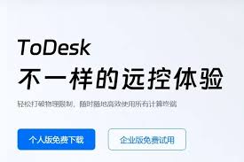 todesk-3