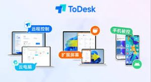 todesk-8